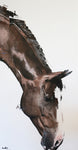 Grazing beauty